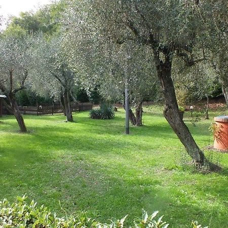 مبيت وإفطار فوسدينوفو Gli Ulivi المظهر الخارجي الصورة